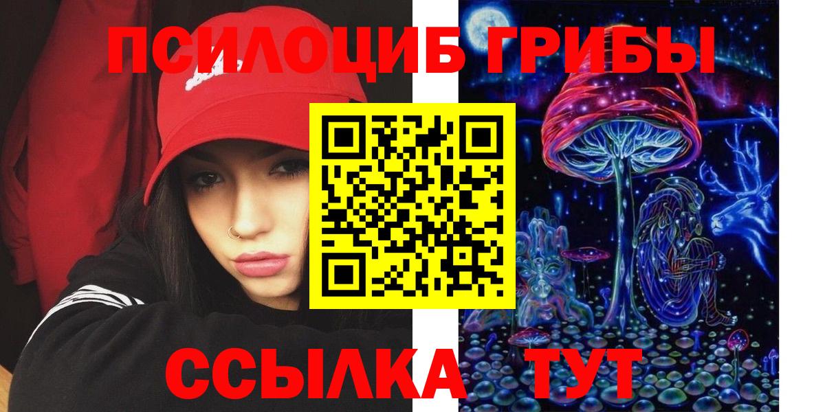 Псилоцибиновые грибы Cubensis Канаш