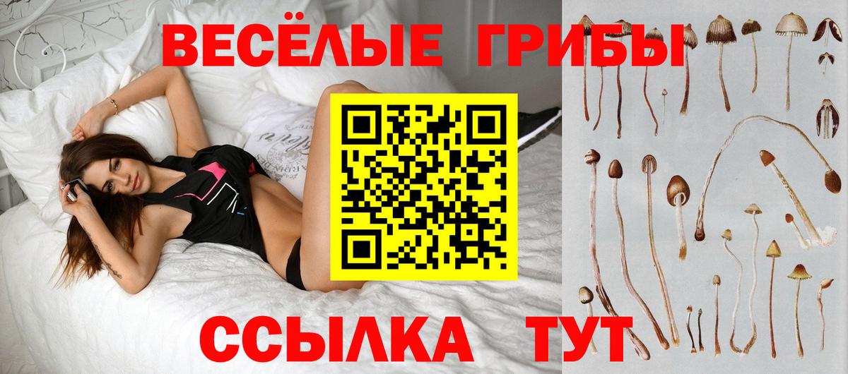 хочу   Вход с VPN  Канаш  Псилоцибиновые грибы Magic Shrooms 